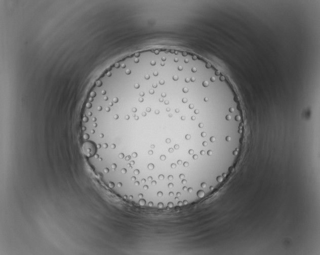 X0000115651435200912221322