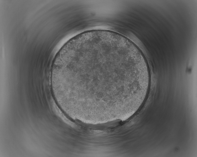 X0000115651436200912221322