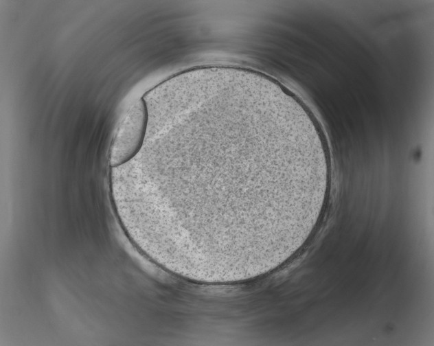 X0000115651437200912221322