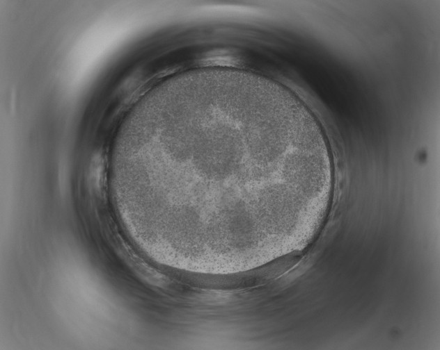 X0000115651438200912221322