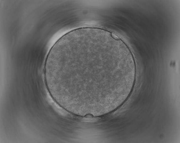 X0000115651440200912221322