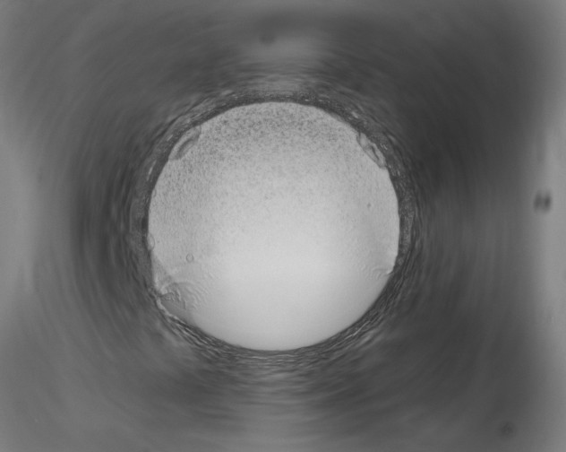 X0000115651441200912221321