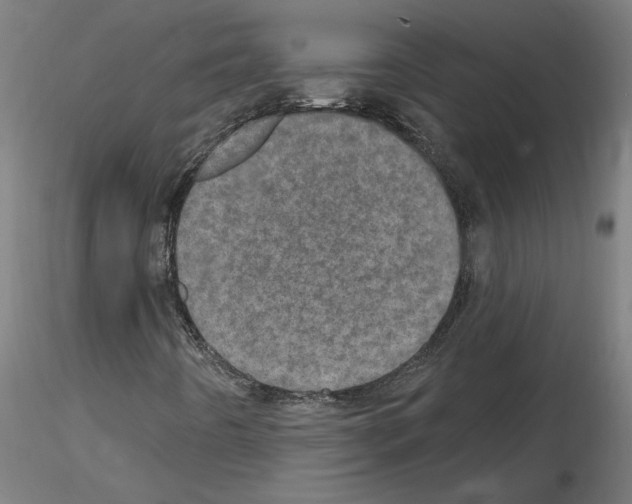 X0000115651442200912221321