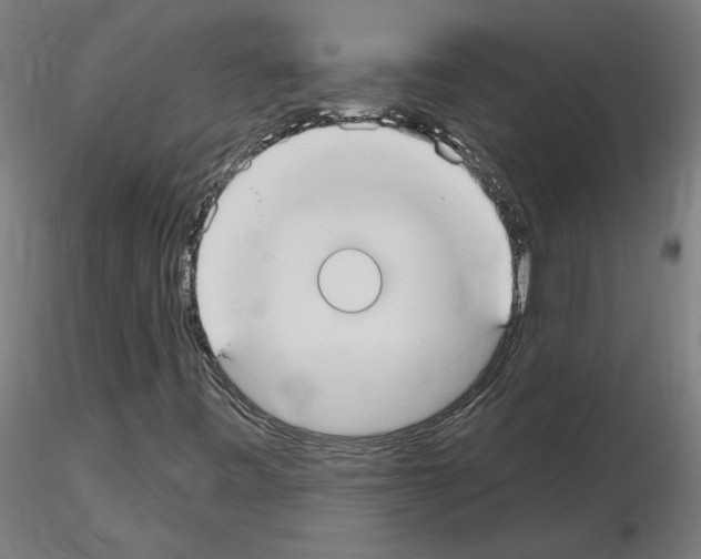X0000115651443200912221321