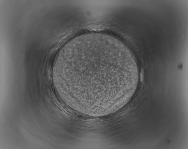 X0000115651444200912221321