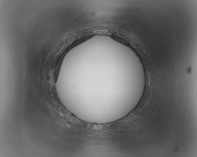 X0000115651445200912221321