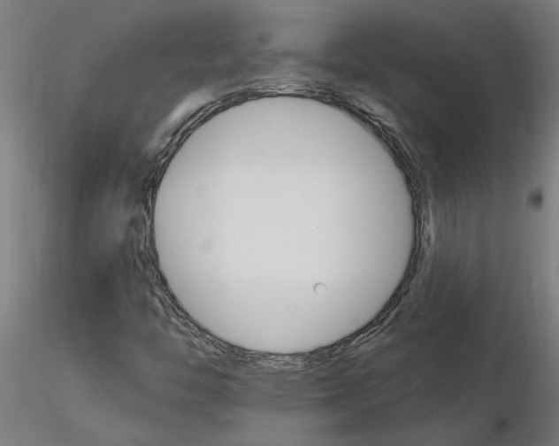 X0000115651446200912221321