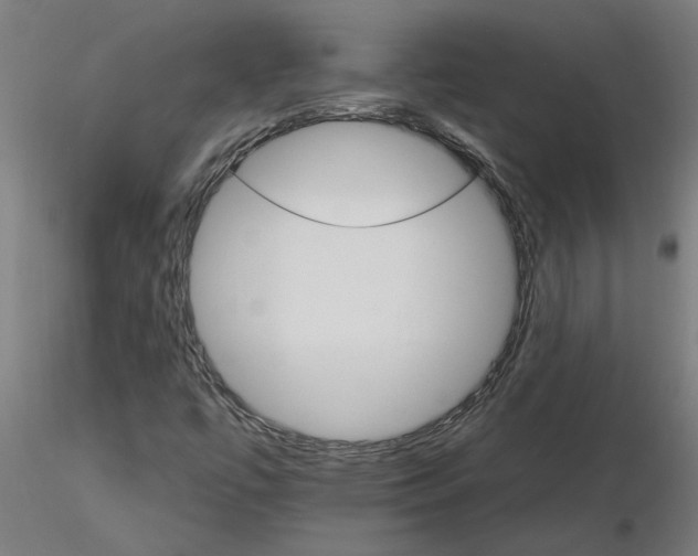 X0000115651447200912221321
