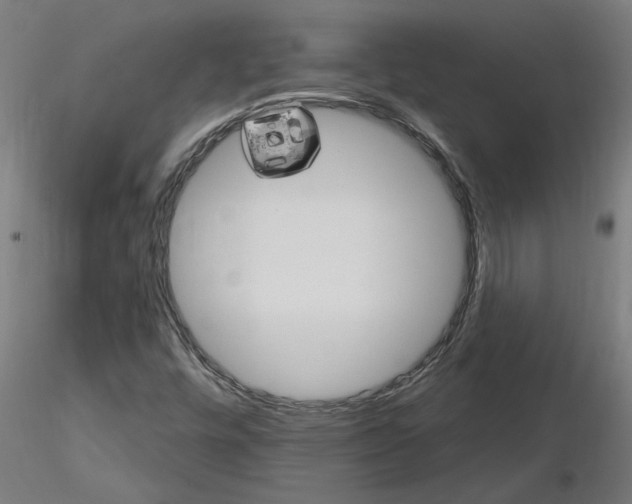 X0000115651448200912221321