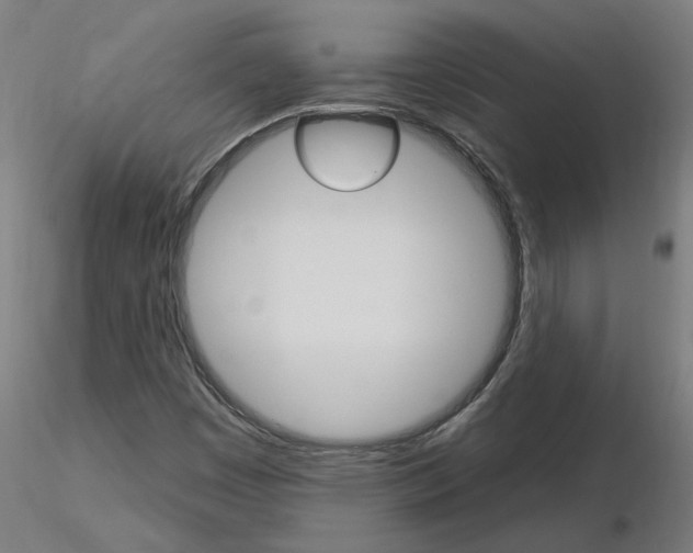 X0000115651449200912221321