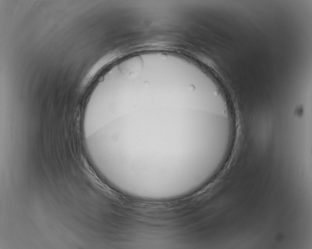 X0000115651450200912221321