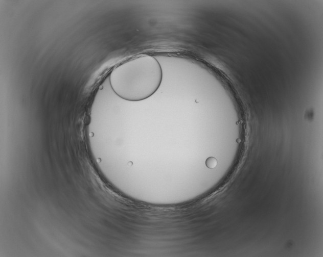 X0000115651451200912221321