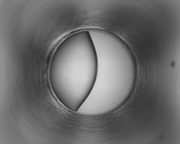 X0000115651452200912221321