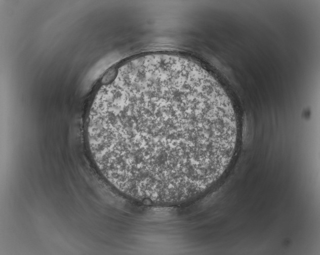 X0000115651453200912221321
