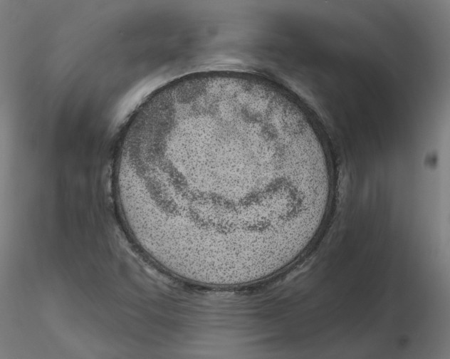 X0000115651455200912221321