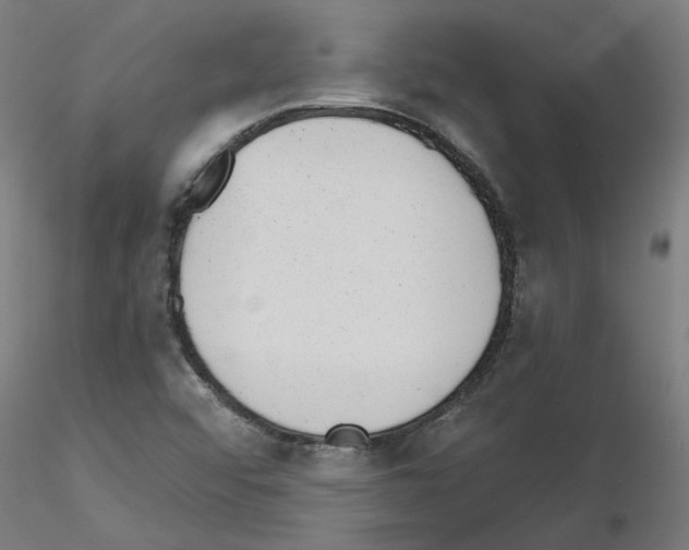 X0000115651456200912221321