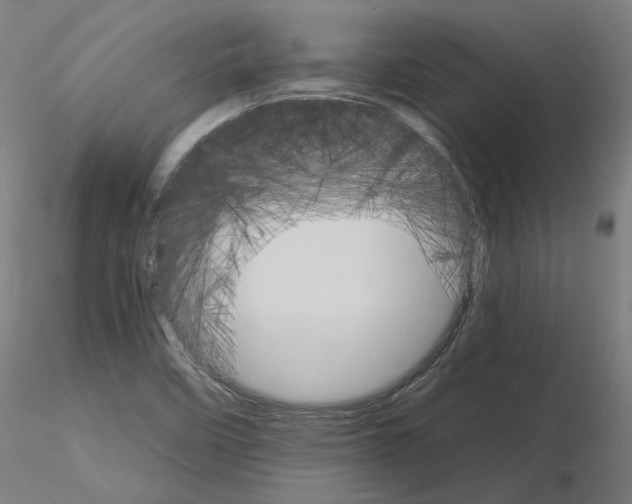 X0000115651458200912221321