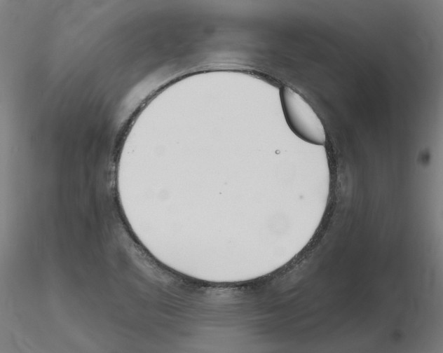 X0000115651461200912221321