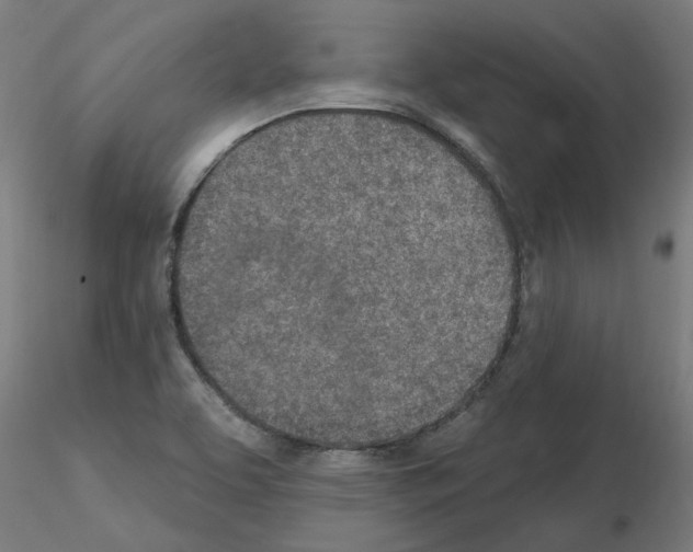 X0000115651463200912221321