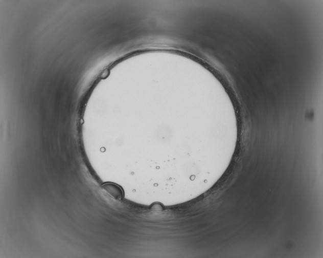 X0000115651464200912221321