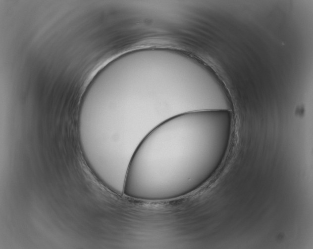 X0000115651465200912221321
