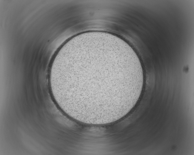 X0000115651466200912221321