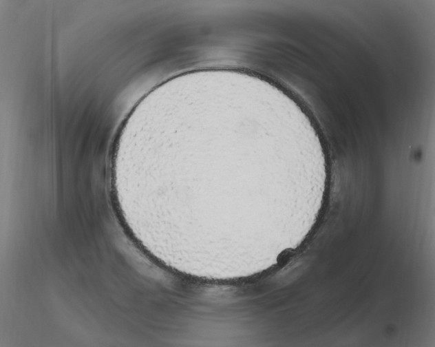 X0000115651467200912221321