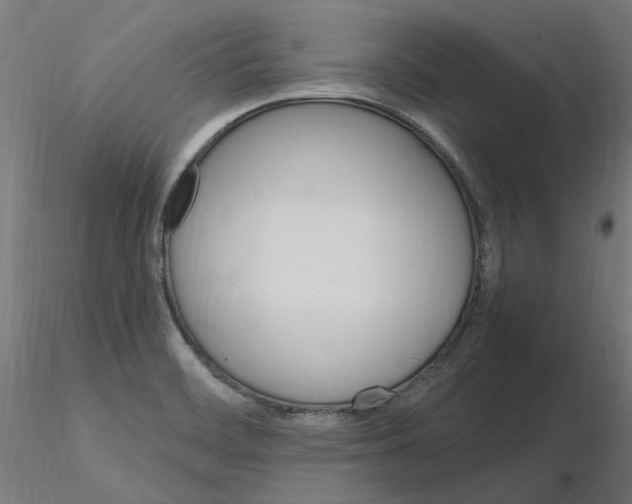 X0000115651468200912221321