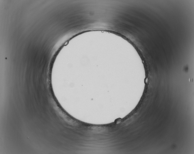 X0000115651469200912221321