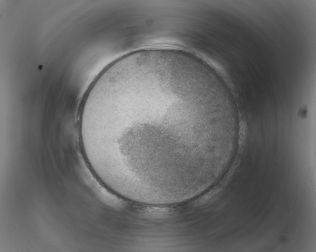 X0000115651470200912221321