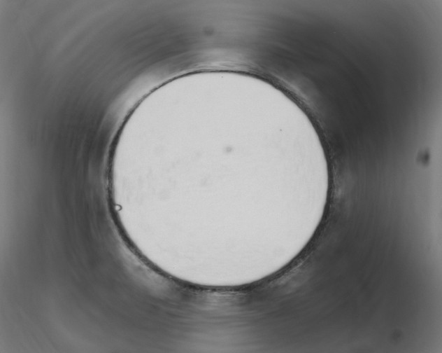 X0000115651471200912221321