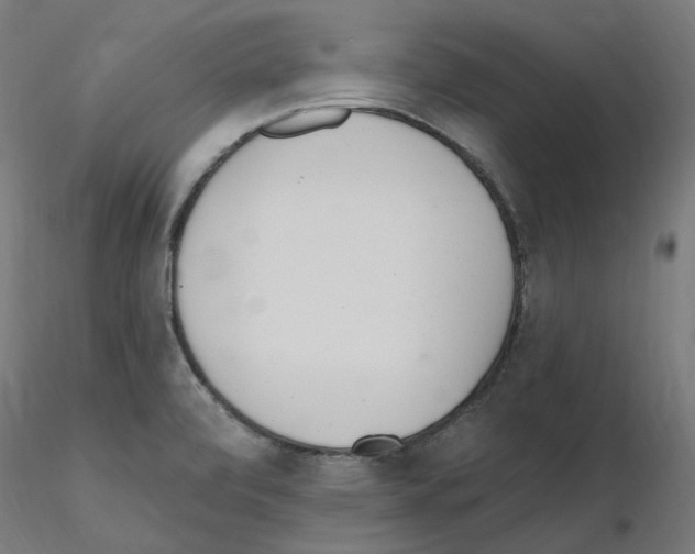 X0000115651472200912221321