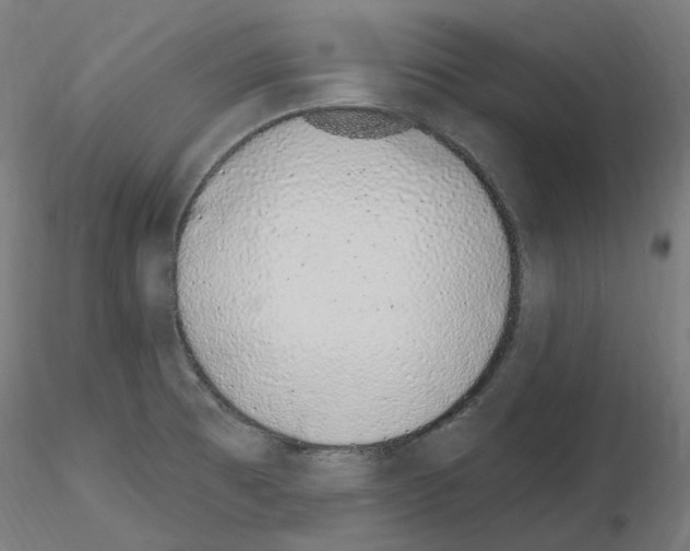 X0000115651473200912221321
