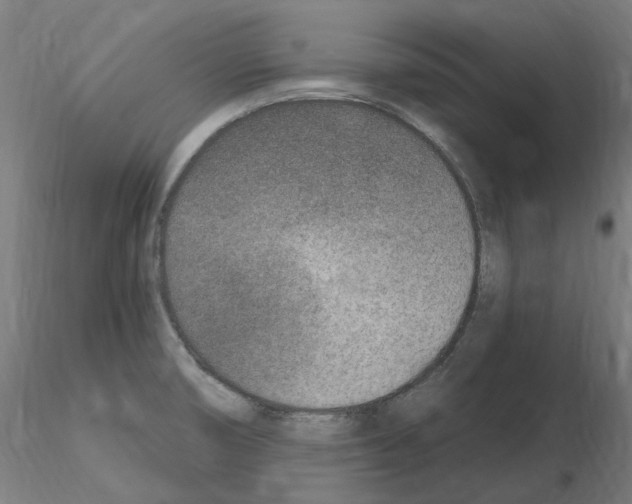 X0000115651474200912221321