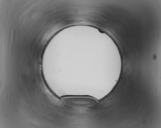 X0000115651476200912221321