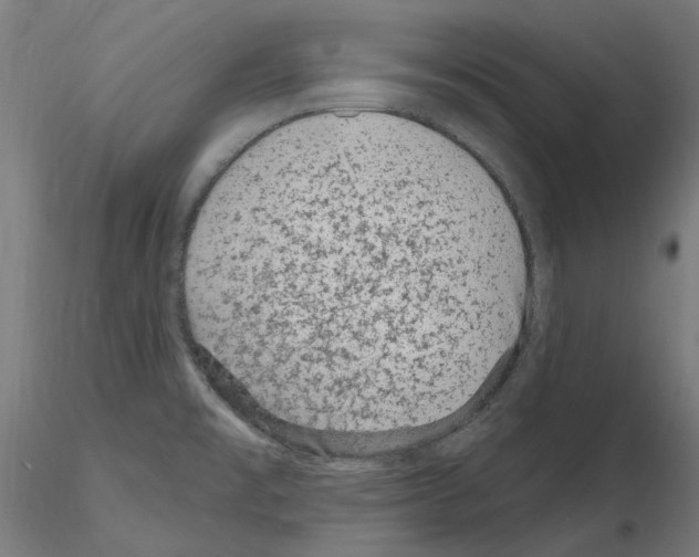 X0000115651477200912221321