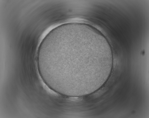 X0000115651478200912221321