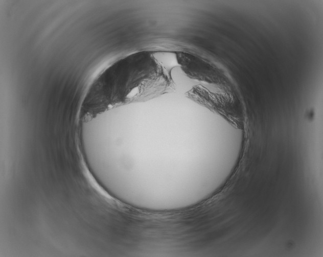 X0000115651479200912221321