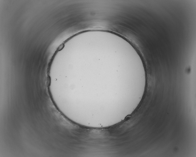 X0000115651480200912221321