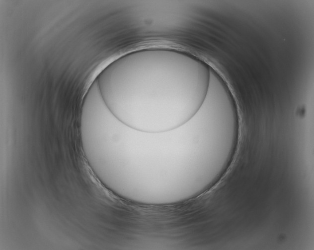 X0000115651481200912221320