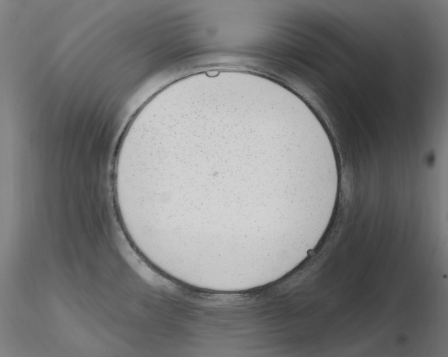 X0000115651482200912221320