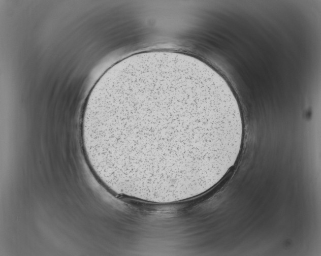 X0000115651483200912221320
