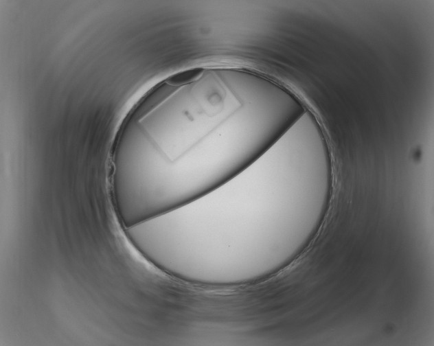 X0000115651484200912221320