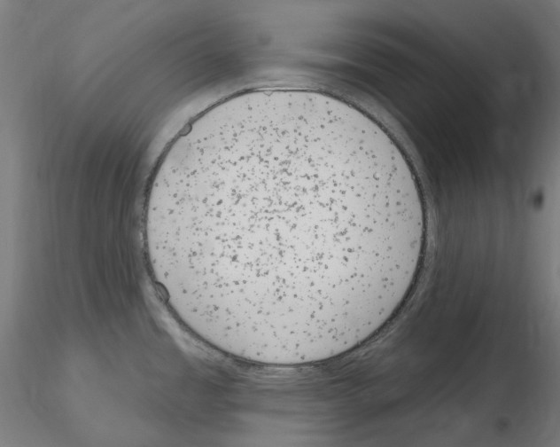 X0000115651485200912221320