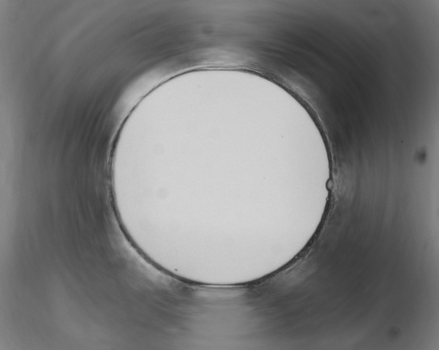 X0000115651487200912221320