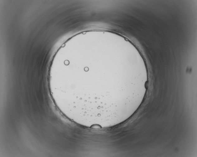 X0000115651488200912221320