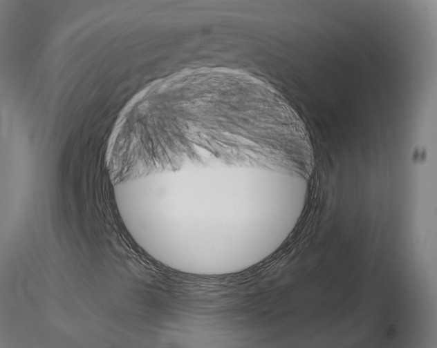 X0000115651489200912221320