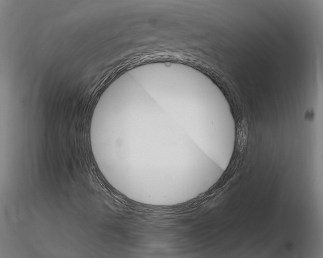 X0000115651490200912221320