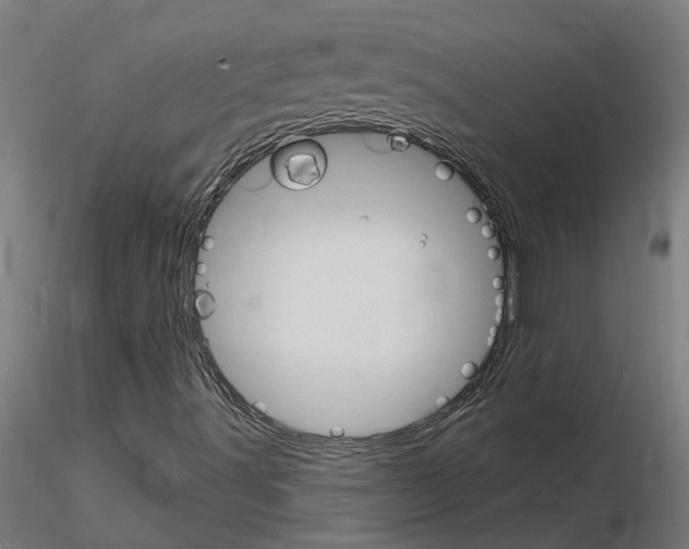 X0000115651491200912221320