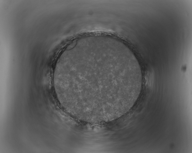 X0000115651493200912221320